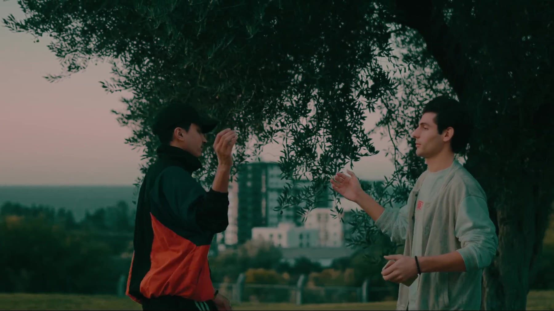 Faizan — Sport Reel
